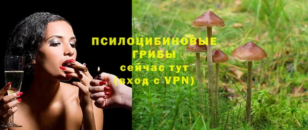 PSILOCYBIN Богданович